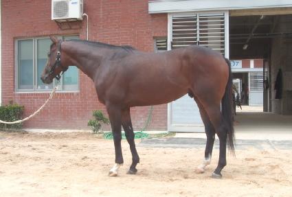 ���̾�Ʈ�ǵ���Ʈ ����