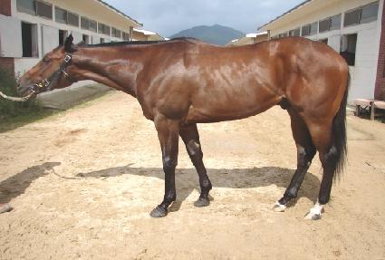 �����׷��� ����