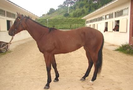 ������ ����