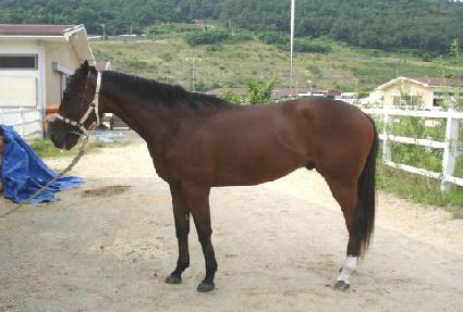 �����ص嵥� ����