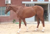 Ű�����÷��̺��� (KIWI��S PLAYBOY) ����