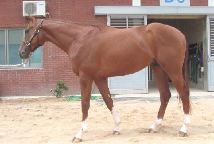 Ű�����÷��̺��� ����