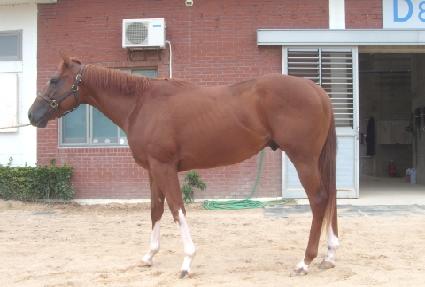 �츮�帲 ����