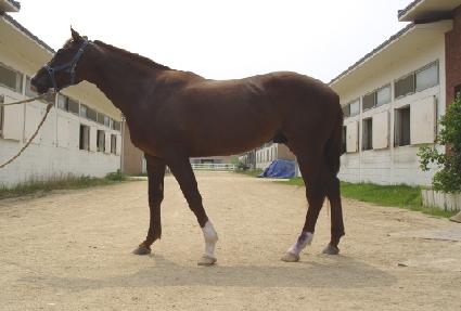 ����� ����