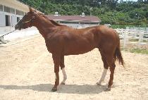 Ȳ������ (HWANGGEUM TUGU) ����