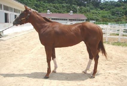 Ȳ������ ����