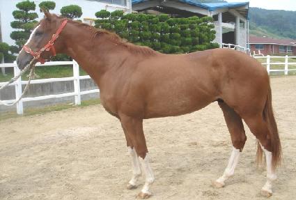 ����� ����