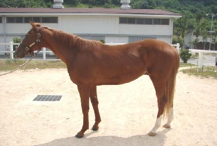 �ذŸ� ����