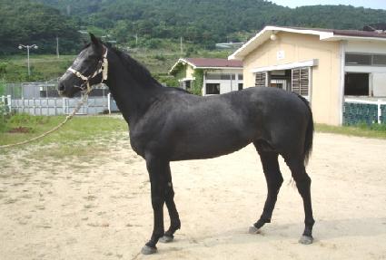 ��Ʈ���� ����