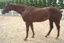 ���似���� (ATTOSECOND) ����