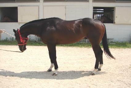 ���ް��� ����