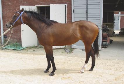 ������Ʈ����콺 ����