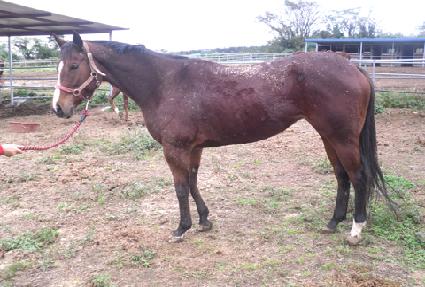 ������Ʈè�� ����