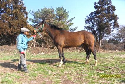 ����Ʈ����Ÿ�� ����