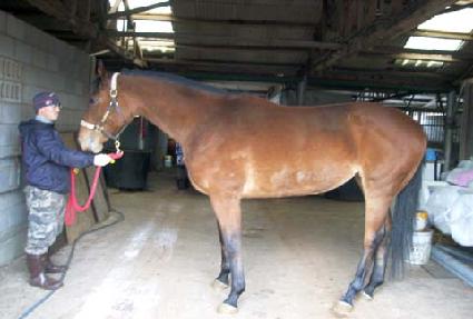 ���ص��� ����