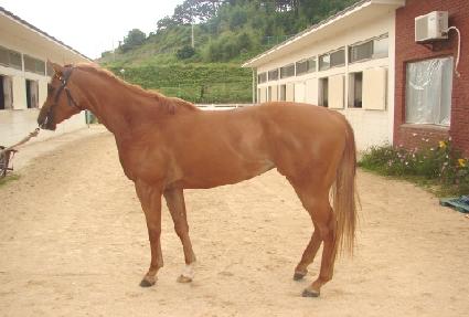 �׷���Ʈ���� ����