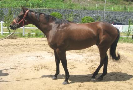 �����¿�� ����