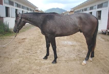 �¾��Ǽ��� ����