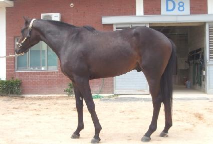 è�Ǿ𷯽� ����