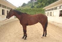 ���̻� (BAEGISAN) ����