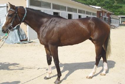 ������ǳ ����