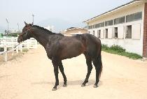 ���屺 (HEUKJANGGUN) ����