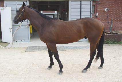 Ǯ������Ʈ ����