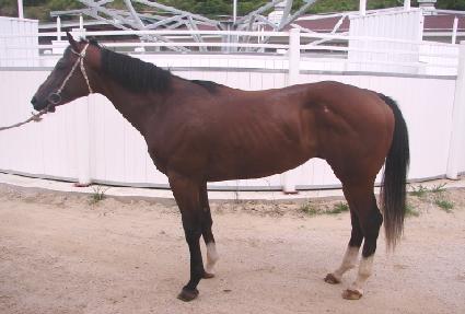 ���������� ����