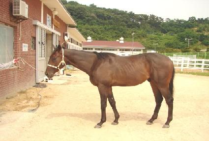 ����Ű���н�Ʈ ����