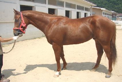 �ŷ� ����