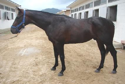 ����ť�� ����