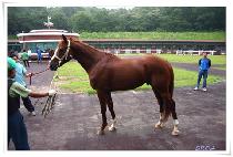 �ӴϿ��� (MONEY WAY) ����