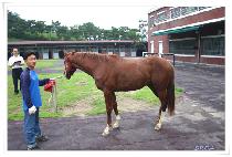 �������ͳ��̼� (NEWDESTINATION) ����