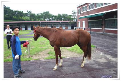 �������ͳ��̼� ����