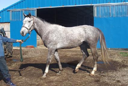 ���� ����