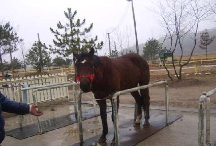 �޸������� ����