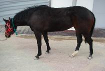 YASAENG BONNEUNG picture