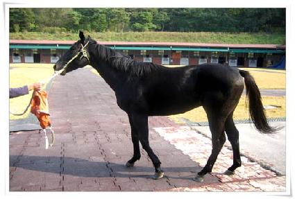 ���������� ����