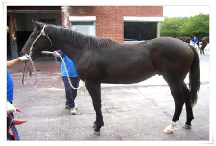 Ŀư�� ����