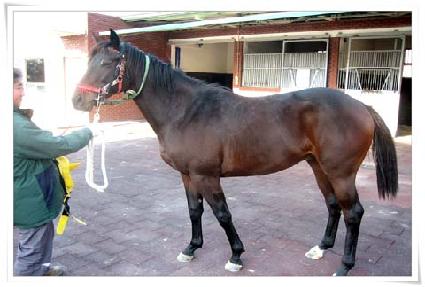 ���ݷξ���� ����