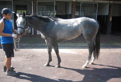 ��õ��ũ ����