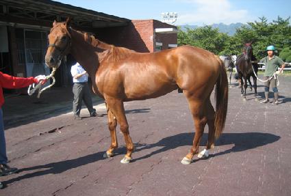 ���б�� ����