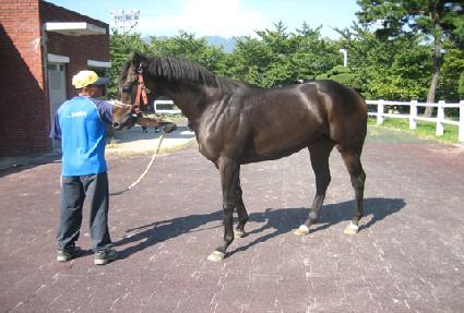 ��뱤�� ����