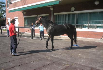 ��þ���� ����