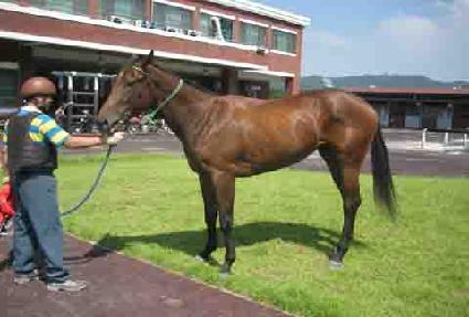 �۷κ� ����