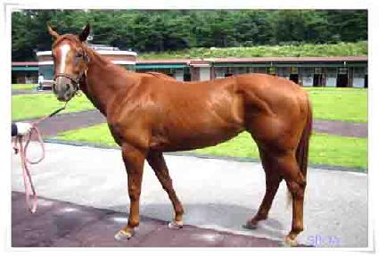 ����Ű���� ����