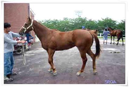 �����̽õ彴�� ����