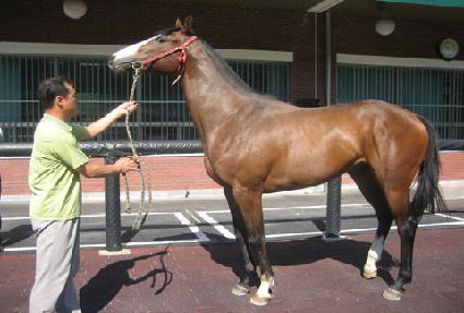 ������ǵ� ����