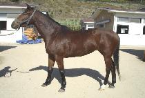 ����ƼǮ (THE BEAUTIFUL) ����