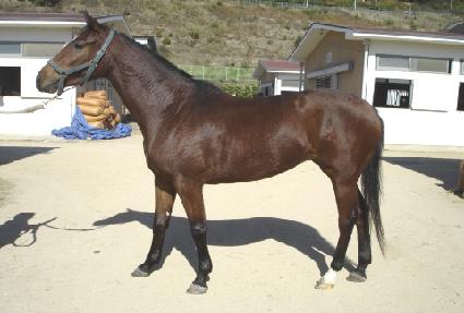 ����ƼǮ ����